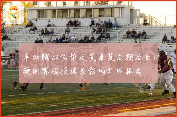 辛纳髋部伤势反复康复周期延长，硬地赛程报销或影响年终排名